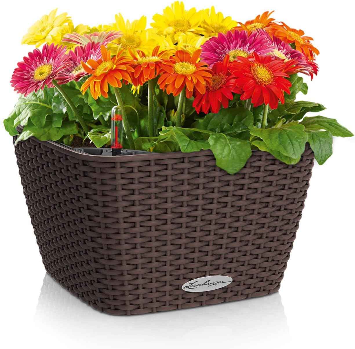 BACINO Cottage Mocha